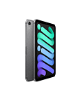 IPAD MINI WI-FI 128GB - SPACE GREY